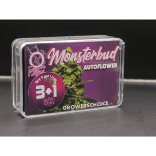 Monsterbud Autoflower - Growers Choice