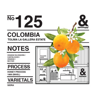 NO.125 COLOMBIA Tolima La Gallera Estate - เมล็ดกาแฟคั่วอ่อน-กลาง by AMPERSAND COFFEE ROASTERS