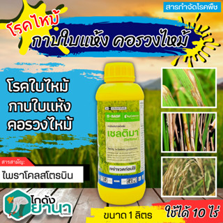 🌾 เซลติมา (ไพราโคลสโตรบิน) ขนาด 1ลิตร ป้องกันกำจัดโรคใบไหม้แผลใหญ่