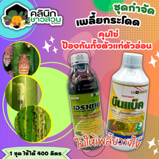 🥬 ชุดกำจัดเพลี้ย เอราขาบ+บีนแบ็ค บรรจุ 1ลิตร+1ลิตร คุมไข่ ป้องกันกำจัดเพลี้ยกระโดด ทั้งตัวแก่และตัวอ่อน