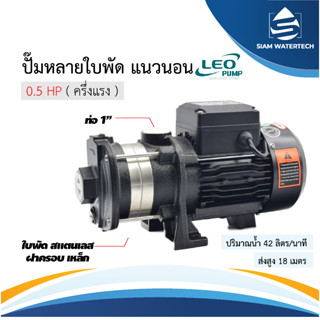 ปั๊มน้ำหลายใบพัดแนวนอน 0.5 แรง รุ่น ECHm2-30-D ยี่ห้อ LEO