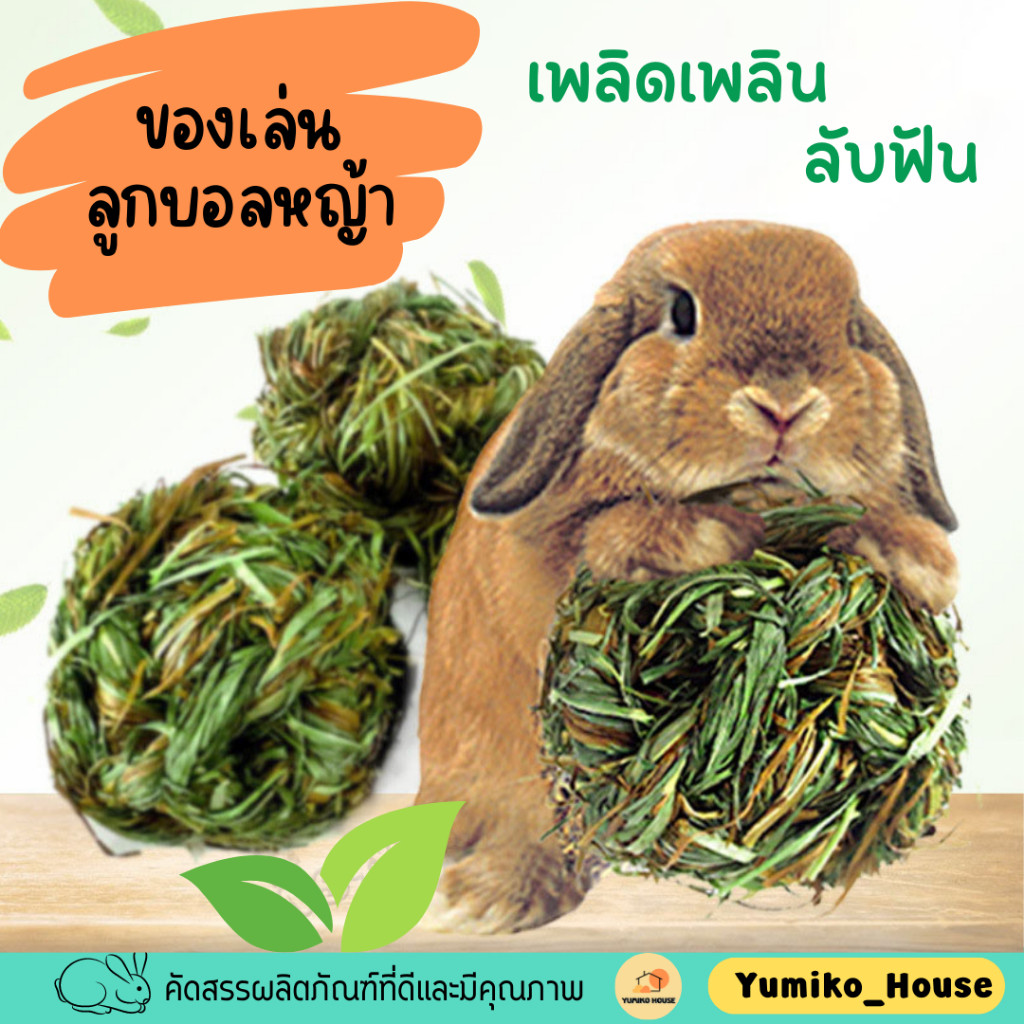 ลูกบอลหญ้า ของเล่นกระต่าย แกสบี้ สัตว์เล็ก ช่วยลับฟัน สนุก เพลิดเพลิน