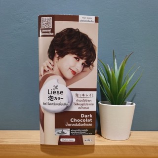 Liese ลิเซ่ โฟมครีมเปลี่ยนสีผม สี Dark Chocola