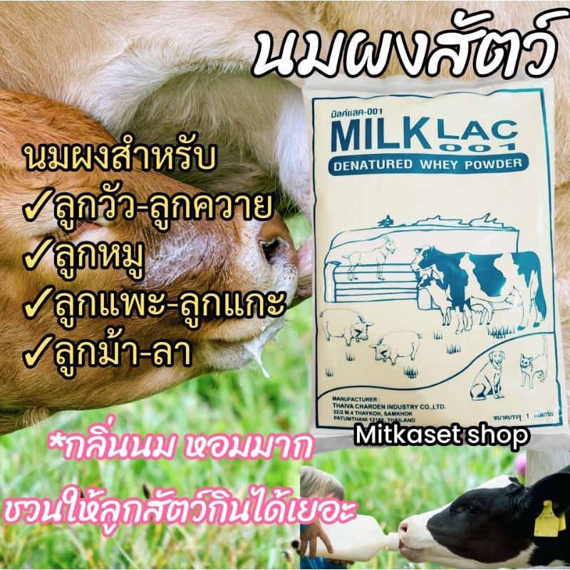 นมผงสัตว์มิลค์แลค001 (นมผงสำหรับสัตว์ หมู วัว ควาย แพะ แกะ)