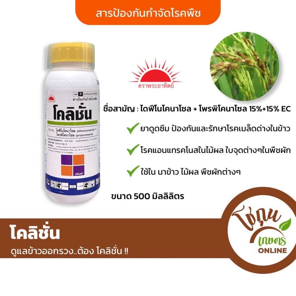 โคลิชั่น ขนาด 500มิลลิลิตร ตราพระอาทิตย์ ป้องกัน กำจัด เชื้อรา โรคเมล็ดด่าง กาบใบแห้ง ในนาข้าว และโรคพืชในพืชผักไม้ผล