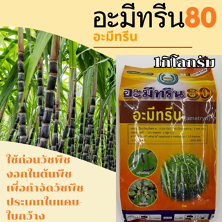 อะมีทรีน80 ขนาด 1กิโลกรัม. ตราหวีทอง ใช้หลังวัชพืชงอกในต้นพืช กำจัดวัชพืชทั้งใบแคบ-ใบกว้าง