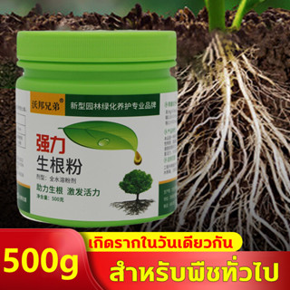 🌿3วันหยั่งราก🌿 ยาเร่งราก ผงเร่งราก ผงเร่งรากพืช 500g อุดมไปด้วยธาตุ ปลอดภัย ไร้สารพิษ ใช้ได้พืชทุกชนิด รากงอกเร็ว รากเยอ