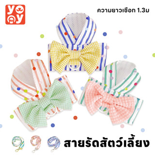 yoyo Pet: สายจูงสัตว์เลี้ยง หมา แมว สุนัข เชือกรัดสัตว์เลี้ยง ชุดน่ารัก  มีหลายขนาดให้เลือก