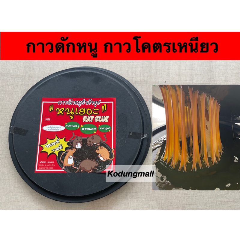 กาวดักหนู ที่ดักหนู แบบสำเร็จรูป 2แผ่น/แพ็ค **กาวดักหนูถาดกลม