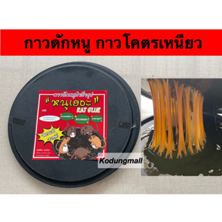 กาวดักหนู ที่ดักหนู แบบสำเร็จรูป 2แผ่น/แพ็ค