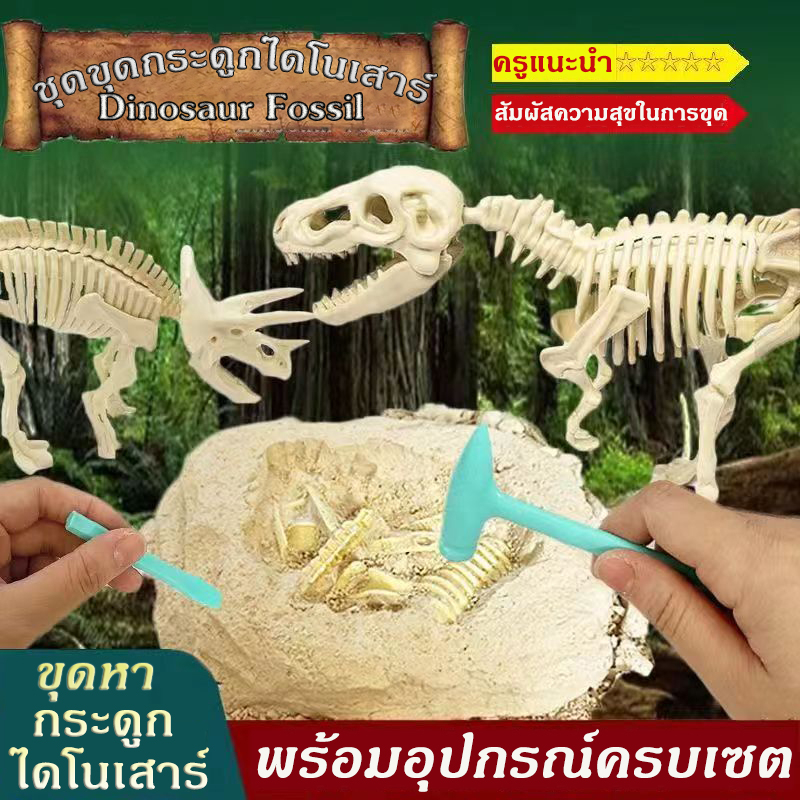 ขุดกระดูกไดโนเสาร์ ขุดของเล่น ไดโนเสาร์ ฟอสซิลอัญมณี หาสมบัติ