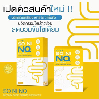 So ni NQ โซนิเอ็นคิว