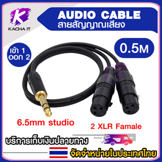 สายสัญญานเสียง สายไมโครโฟน AUDIO CABLE แจ็ค 6.5mm studio ออก 2 XLR ตัวเมีย สายยาว 0.5 M