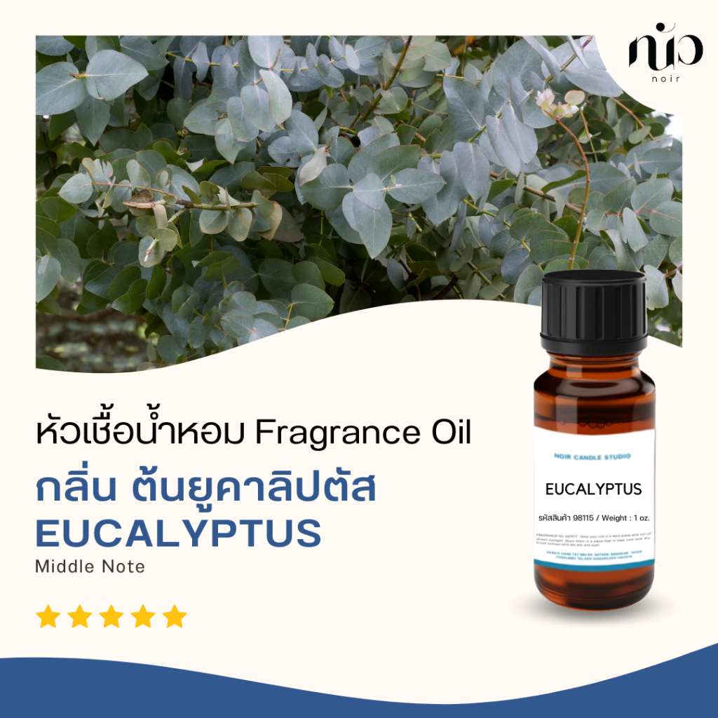 หัวเชื้อน้ำหอม กลิ่น Eucalyptus 98073