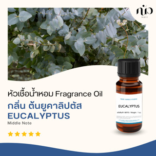 หัวเชื้อน้ำหอม กลิ่น Eucalyptus