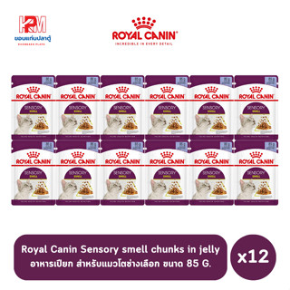 Royal canin Pouch Adult Sensory smell chunks in jelly อาหารเปียก สำหรับแมวโตช่างเลือก ขนาด 85g. (x12)