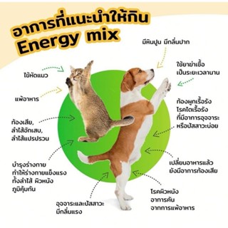 Energy mix probiotic โปรไบโอติก สำหรับสุนัขแมว ช่วย ระบบทางเดินอาหารและอื่นๆ