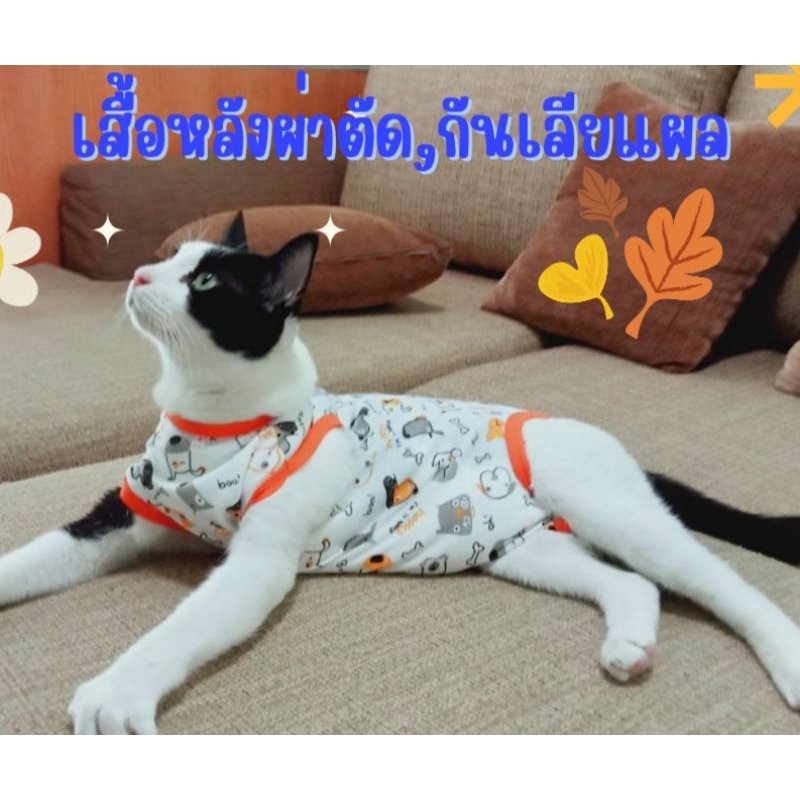 🌟เสื้อหลังผ่าตัด,ทำหมันแมวหมาลายน่ารัก 🌈พร้อมส่ง 🇹🇭ร้านไทย