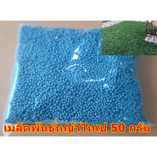 ขายส่ง 50 กรัม เมล็ดหญ้าไทเป หญ้ามาเลเซียแคระ Broadleaf Carpet Grass หญ้าสวนหย่อม สนามหญ้า หญ้า หญ้าปูสนาม พันธุ์หญ้า