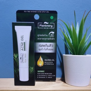 แพลนท์เนอรี่ ที ทรี อินเทนซ์ แอคเน่ สปอต เจล​ PLANTNERY TEA TREE INTENSE ACNE SPOT GEL(15g)