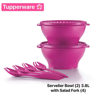 Servelier Bowl (2) 3.8L with Salad Fork (4)