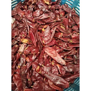 พริกหยวกแห้ง1กก160บาท(สำหรับปลูกหรือรับประทาน)