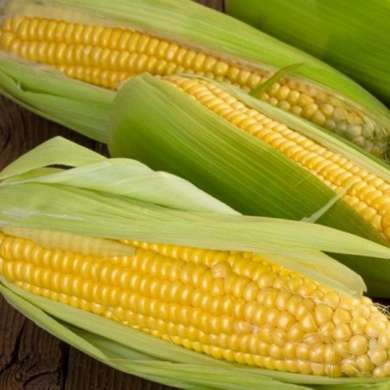 เมล็ดข้าวโพดหวาน 50 เมล็ด (5แถม1คละได้)