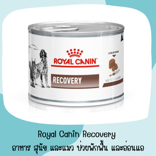 Royal canin อาหารสุนัขและแมวประกอบการรักษา สำหรับระยะพักฟื้นและการดูแลหลังผ่าตัด ชนิดเปียก (RECOVERY) 195 กรัม