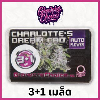 Charlottes Dream CBD (Auto) - Growers Choice เมล็ด กัญชา นำเข้าแท้100% เมล็ดเพศเมีย