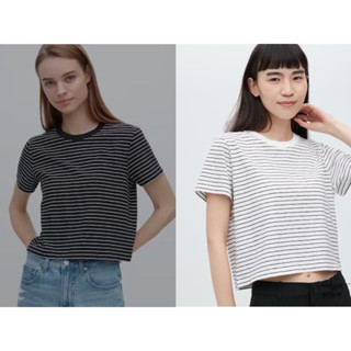 เสื้อยืด แบรนด์ Uniqlo