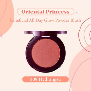 beneficial All Day Glow Powder Blush No.09 Hydrangea สีพีช