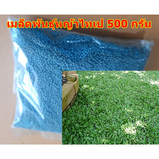 ขายส่ง 500 กรัม เมล็ดหญ้าไทเป หญ้ามาเลเซียแคระ Broadleaf Carpet Grass หญ้าสวนหย่อม สนามหญ้า หญ้า หญ้าปูสนาม พันธุ์หญ้า