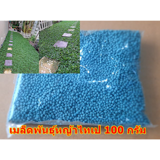 ขายส่ง 100 กรัม เมล็ดหญ้าไทเป หญ้ามาเลเซียแคระ Broadleaf Carpet Grass หญ้าสวนหย่อม สนามหญ้า หญ้า หญ้าปูสนาม พันธุ์หญ้า