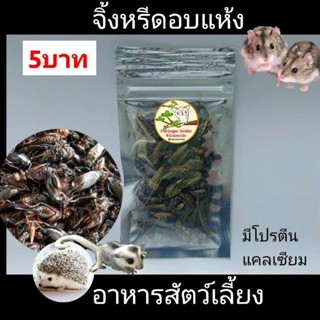 ขนมแฮมส์เตอร์ อาหารชูก้า อาหารแฮมส์เตอร์ ขนมสัตว์เลี้ยง จิ้งหรีดอบแห้ง ห่อละ5บาท