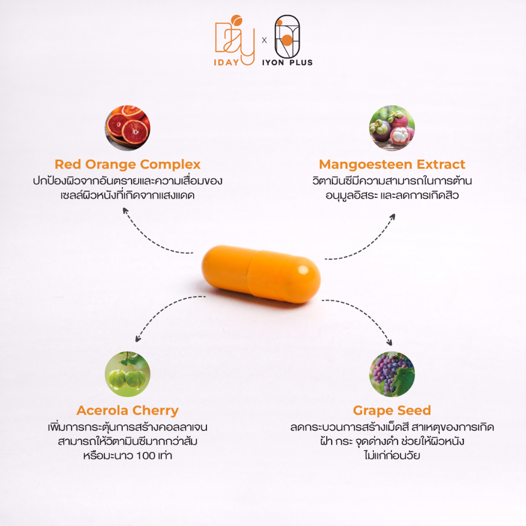 KVKXTHAILAND ผลิตภัณฑ์อาหารเสริม วิตามินกันแดดแบบกิน บรรจุ 50 แคปซูล I DAY DIETARY SUPPLEMENT PRODUCT - รูปที่ 2