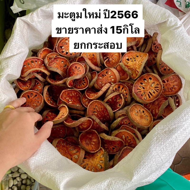 มะตูมใหม่ ปี2567 ราคาส่ง15กิโล ขายยกกระสอบ มะตูม มะตูมแห้ง มะตูมอบแห้ง สมุนไพรมะตูม