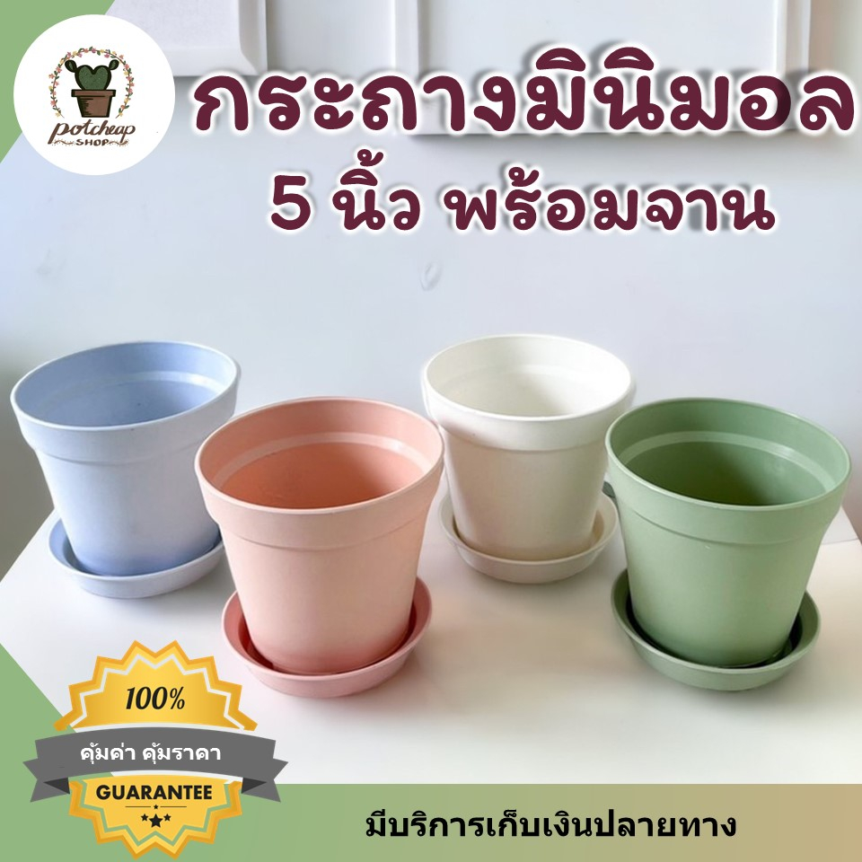 กระถางต้นไม้ 5 นิ้วพร้อมจานทรงมินิมอล สีพาสเทล ใส่ไม้ฟอกอากาศ