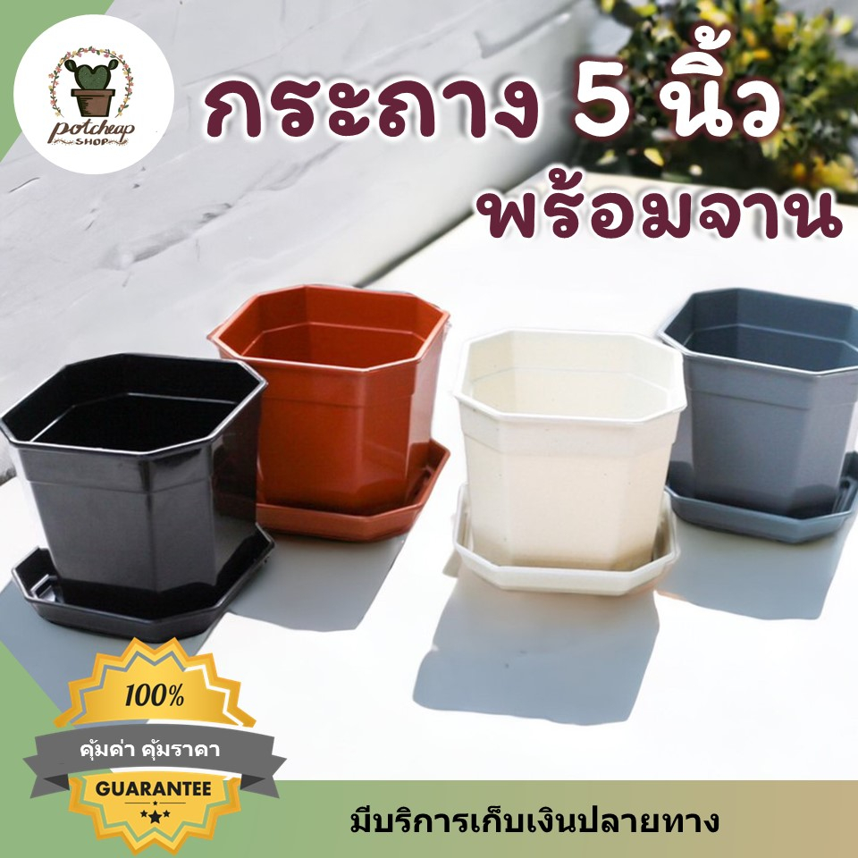 กระถางต้นไม้5นิ้วทรงแปดเหลี่ยมพร้อมจานรอง ใส่ยางอินเดีย แคคตัส