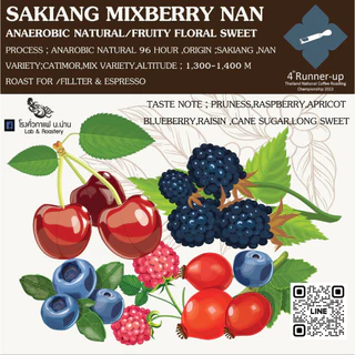 Nan Coffee Roasteryเมล็ดกาแฟพิเศษน่านบ้านสะเกี้ยงน่านMixBerry Anaerobic96Hour Omni Roast For Fillter
