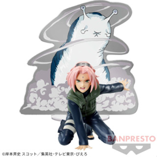 Naruto Shippuden Sakura Haruno Panel Spectacle