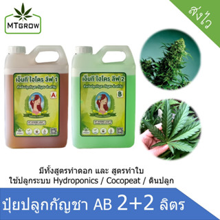 ปุ๋ย AB กัญชา 420 ทำใบ ทำดอก 2 ลิตร Hydro / coco