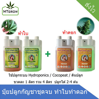 ปุ๋ย ชุดเซ็ต4ขวด AB  420 ทำใบ ทำดอก Hydro / coco จบทำดอก