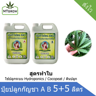 ปุ๋ยน้ำ AB กัญชา 420 ทำใบ ทำดอก 5 ลิตร Hydro / coco