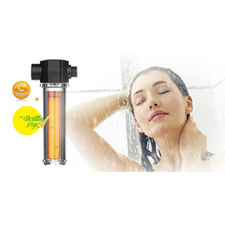 Vitamin C Shower Filter (2 Replacement Filters)