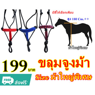 ขลุมจูงม้า  ขลุมม้า 🐴 สำหรับม้าใหญ่ ♦️♦️(สูง180 ซม.ขึ้นไป) ♦️♦️ เชือกอย่างดี ไม่บาดผิว