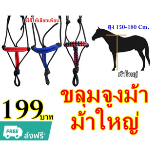 ขลุมจูงม้า  ขลุมม้า 🐴 สำหรับม้าใหญ่ ♦️♦️(สูง 150 -180 ซม.) ♦️♦️ เชือกอย่างดี ไม่บาดผิว