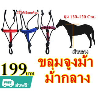 ขลุมจูงม้า  ขลุมม้า 🐴 สำหรับม้ากลาง ♦️♦️(สูง 130 -150 ซม.) ♦️♦️ เชือกอย่างดี ไม่บาดผิว