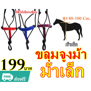 ขลุมจูงม้า  ขลุมม้า 🐴 สำหรับม้าเล็ก ♦️♦️(สูง 80 -100 ซม.) ♦️♦️ เชือกอย่างดี ไม่บาดผิว