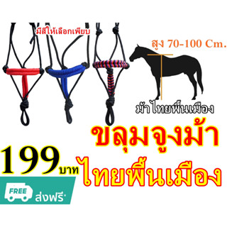 ขลุมจูงม้า  ขลุมม้า 🐴 สำหรับม้า พันธุ์ไทยพื้นเมือง ♦️♦️(สูง 70 -100 ซม.) ♦️♦️ เชือกอย่างดี ไม่บาดผิว