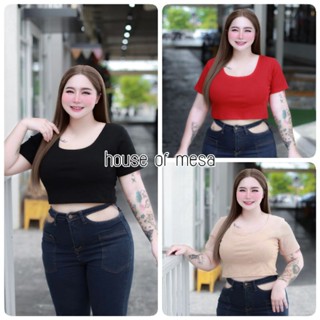 Plussize crop อก40ถึง50นิ้ว ครอปสาวอวบคอยู